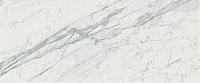 Marvel Statuario 50x120